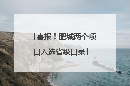 喜报！肥城两个项目入选省级目录
